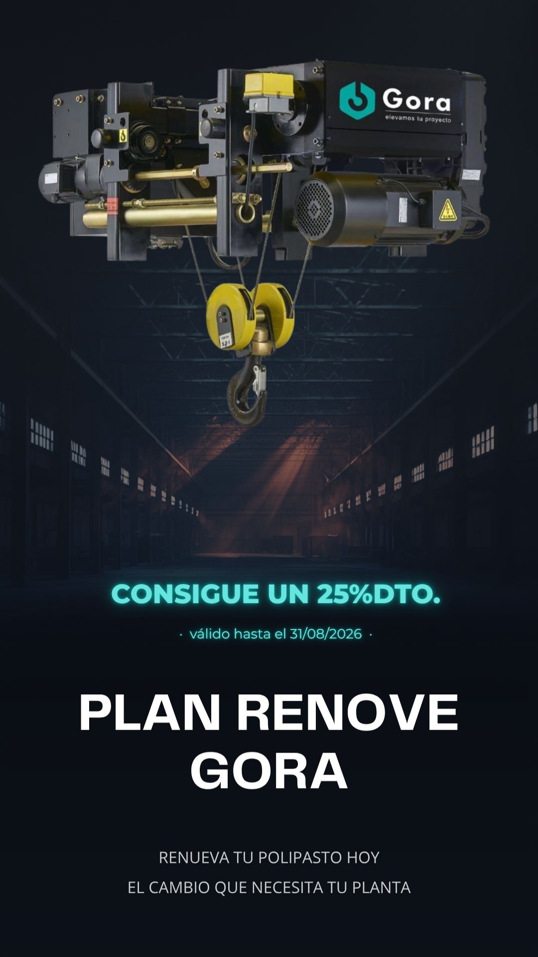 Polipastos cable 1
